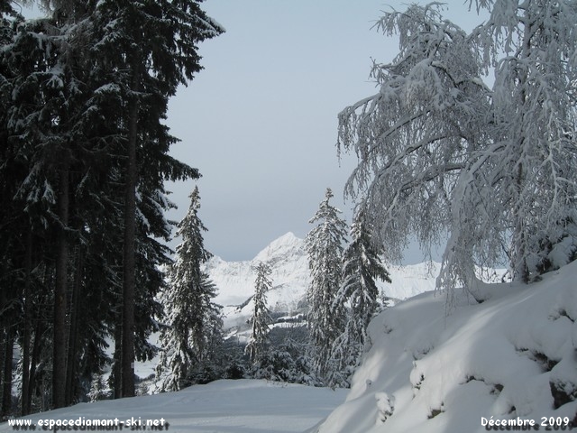 Sapins et neige avec le sommet du Mt Charvin en toile de fond