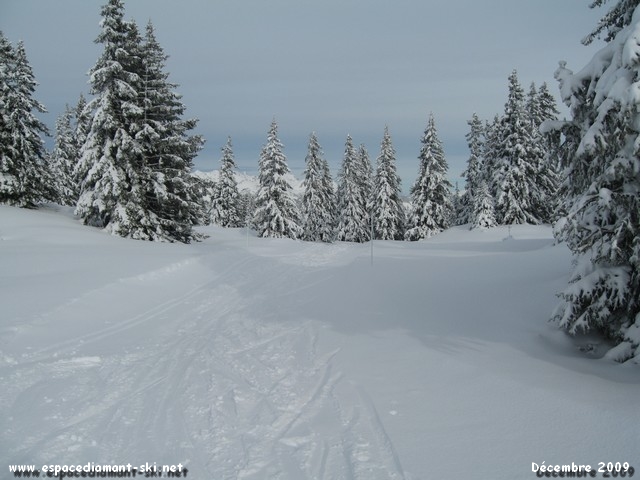 Dbut du Chemin de la Palette prs des pistes nordiques