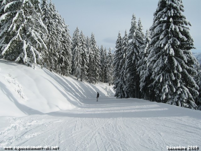 La suite de la piste, toujours en forêt La suite de la piste, toujours en forêt