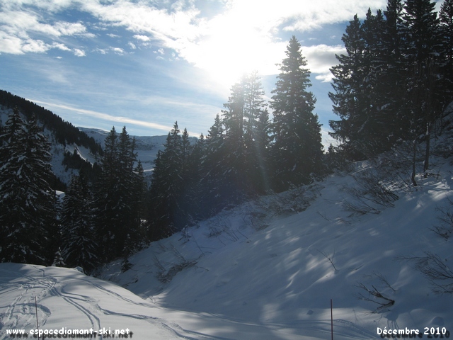 Ciel bleu, sapins et soleil...