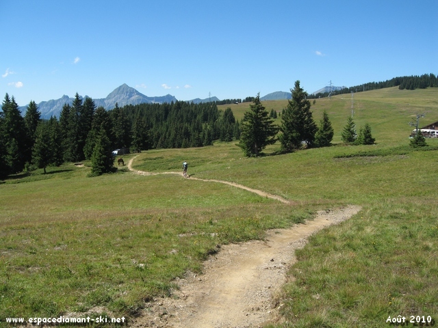 Petit chemin...