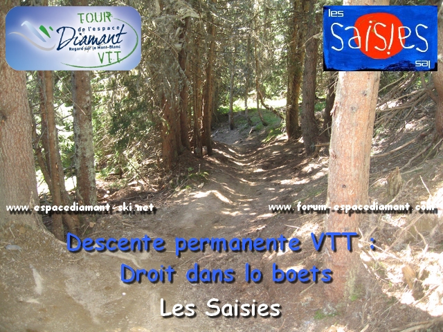 Piste bleue de DH Droit dans lo boets