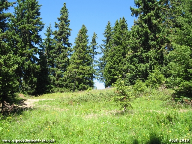 Traverse d'une petite clairire
