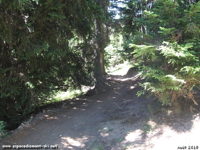 Petit chemin...