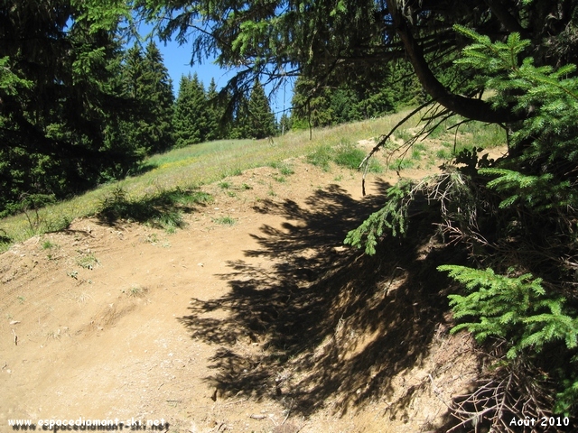 Fin de la piste se raccordant  la bleue Droit dans lo Boets