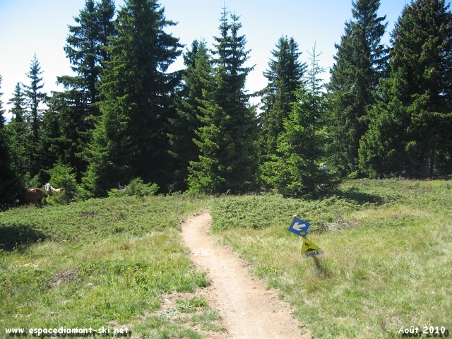 Direction la bleue du Monchu