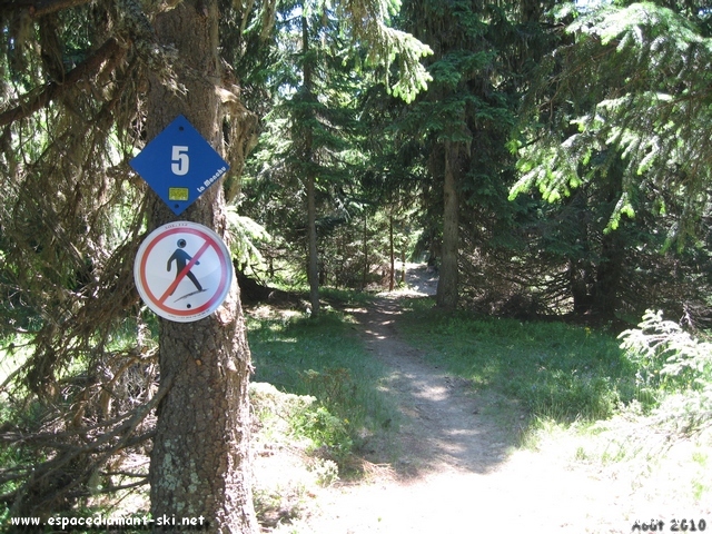 Le dbut de la piste, au profil plutt doux