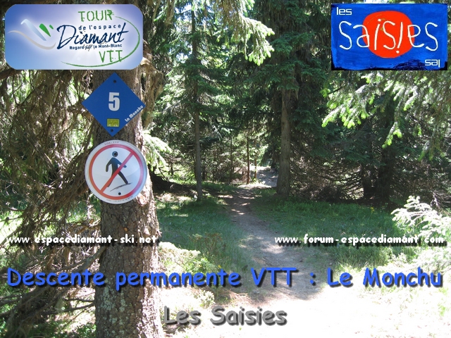 Piste bleue DH Le Monchu