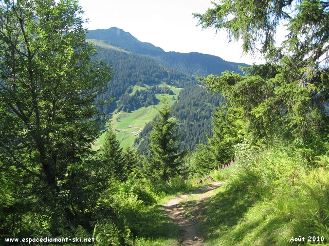 Petit sentier  flanc de montagne