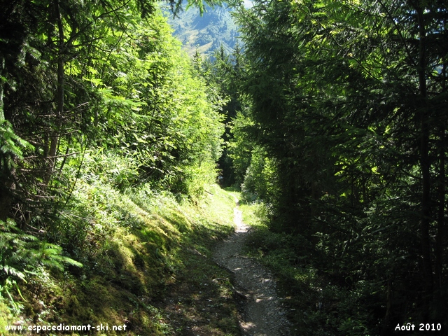 Plus le temps de contempler le paysage, les choses srieuses commencent !