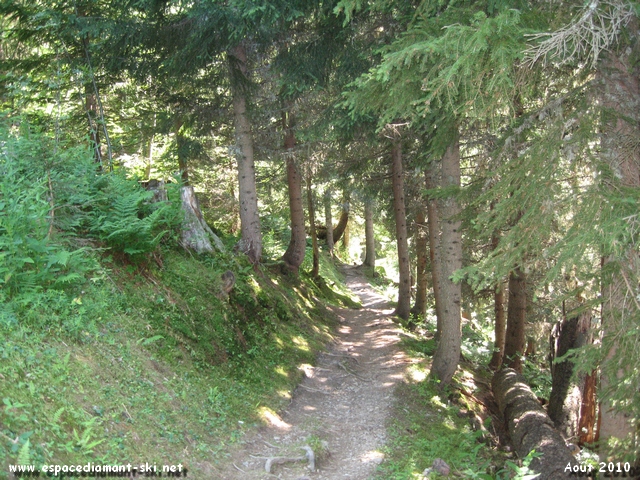 Single-track...