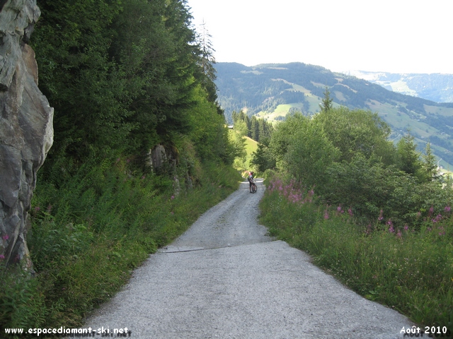 Chemin  flanc de montagne