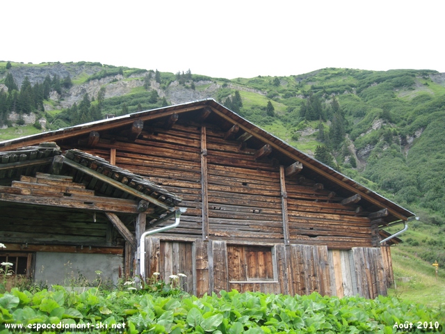 Un vieux chalet d'alpage