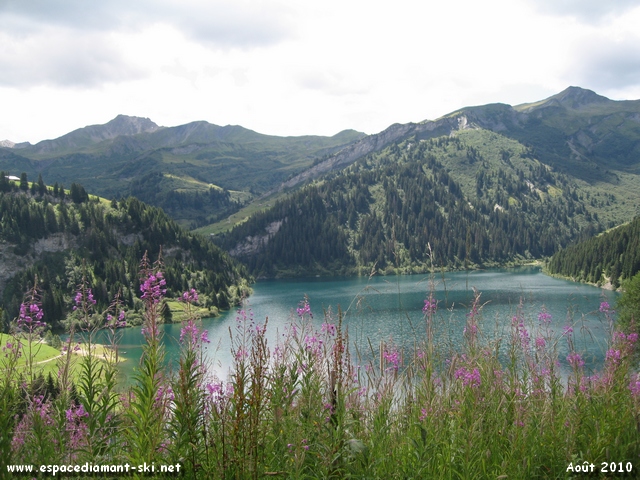 Le Lac et quelques pilobes