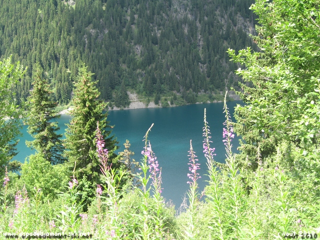 Vue plongeante sur le lac