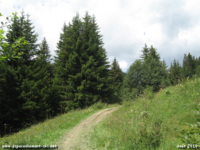 La suite du sentier...