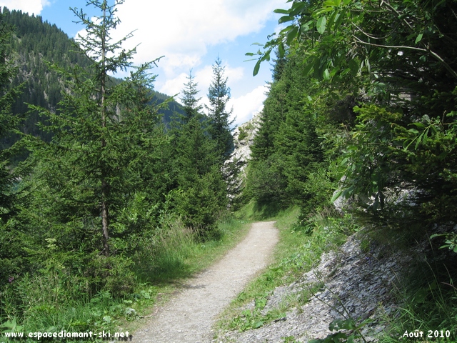 Aprs cette unique cassure, le profil de la piste se radoucit trs vite