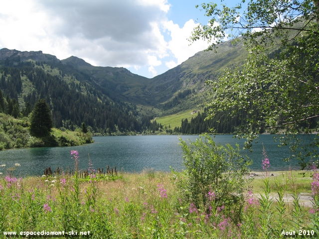 Le Lac de Saint Gurin avec quelques pilobes au premier plan