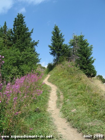 Le sentier sur l'troite Crte du massif