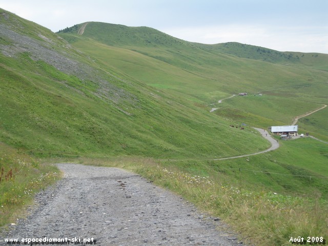 Le chemin traverse les alpages de Bellastat