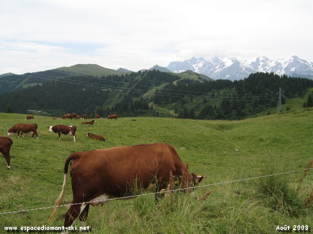 Vue sur Brichou et le Mont Blanc, dans les nuages