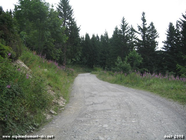 Le chemin se poursuit sur une portion assez plate en fort