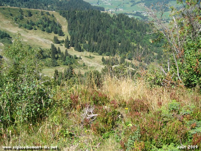 Vue plongeante depuis le bord du piton