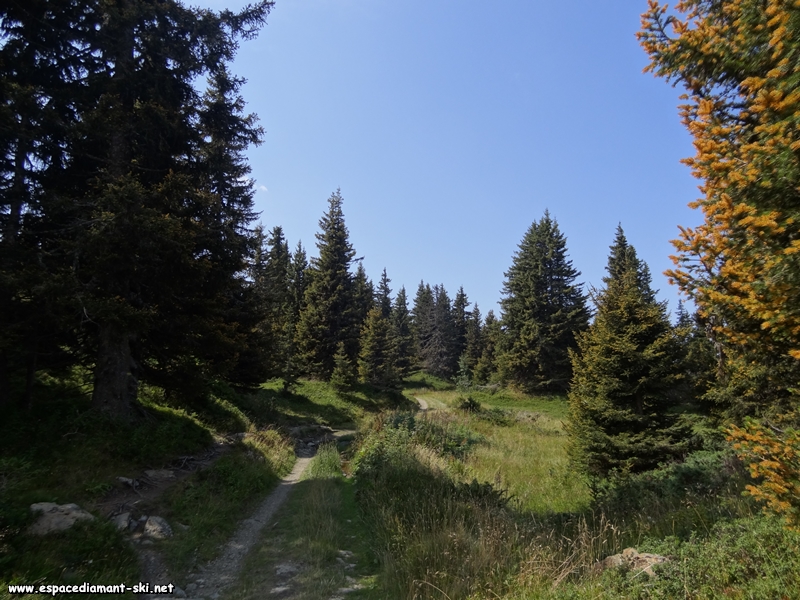 Chemin sans aucune difficult
