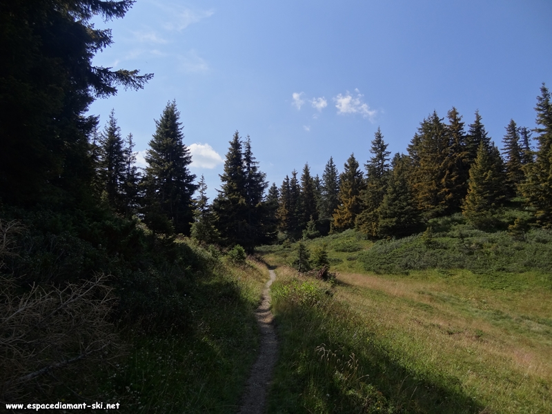 Petit sentier