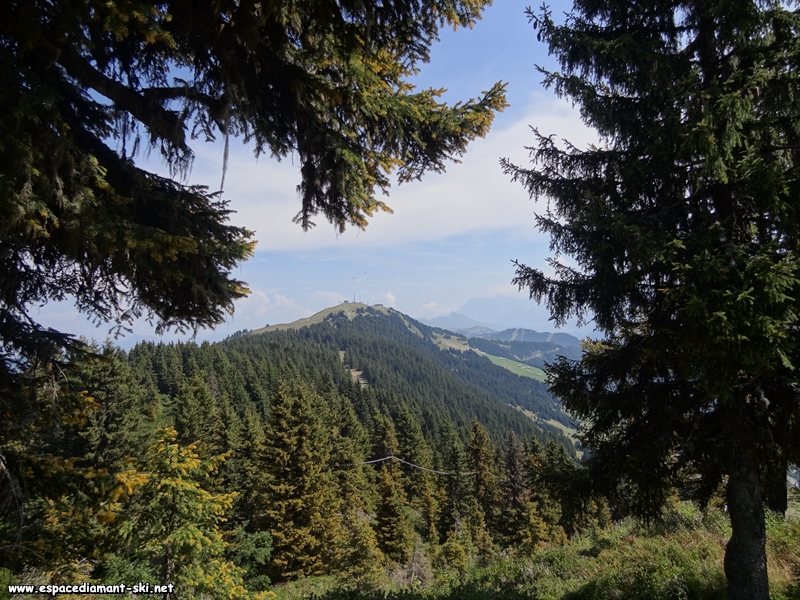 Le Mont Bisanne