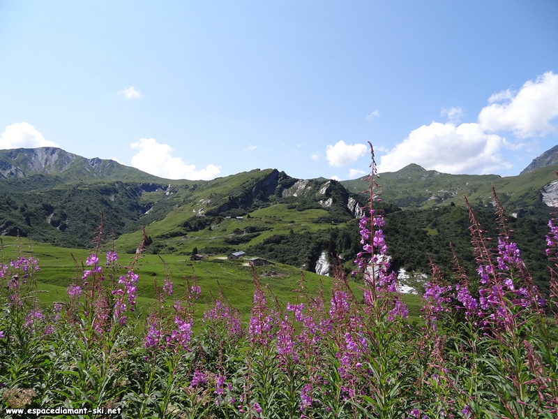 Les montagnes du Beaufortain