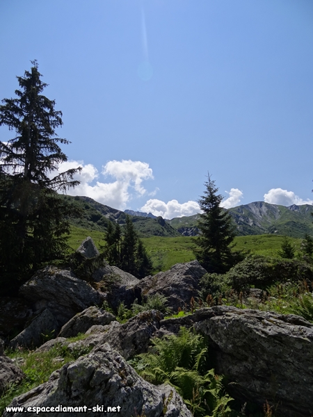 Rochers, sapins et ciel bleu