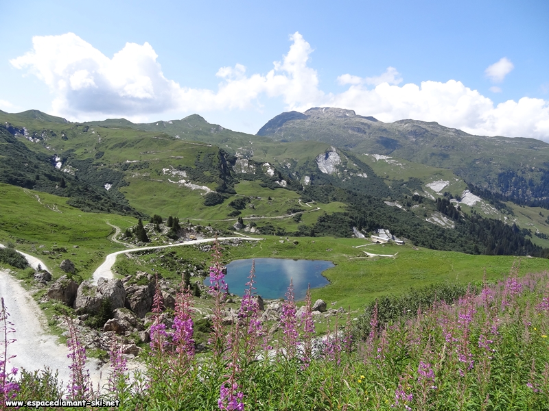 Le lac avec des pilobes