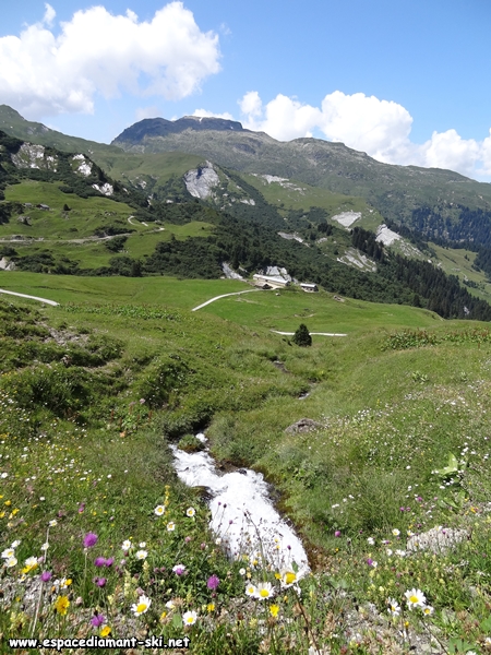 Petit ruisseau avec le Grand Mont en toile de fond