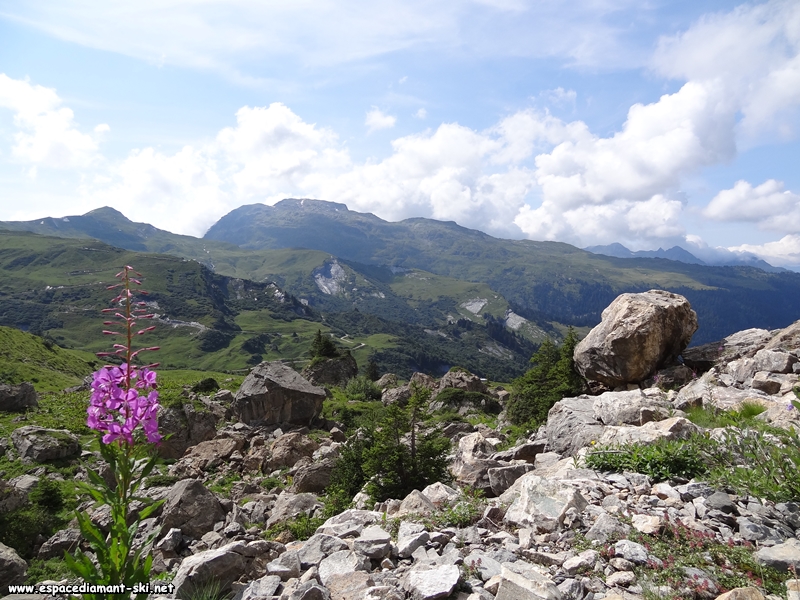 Depuis le pierrier surplombant le lac des Fes