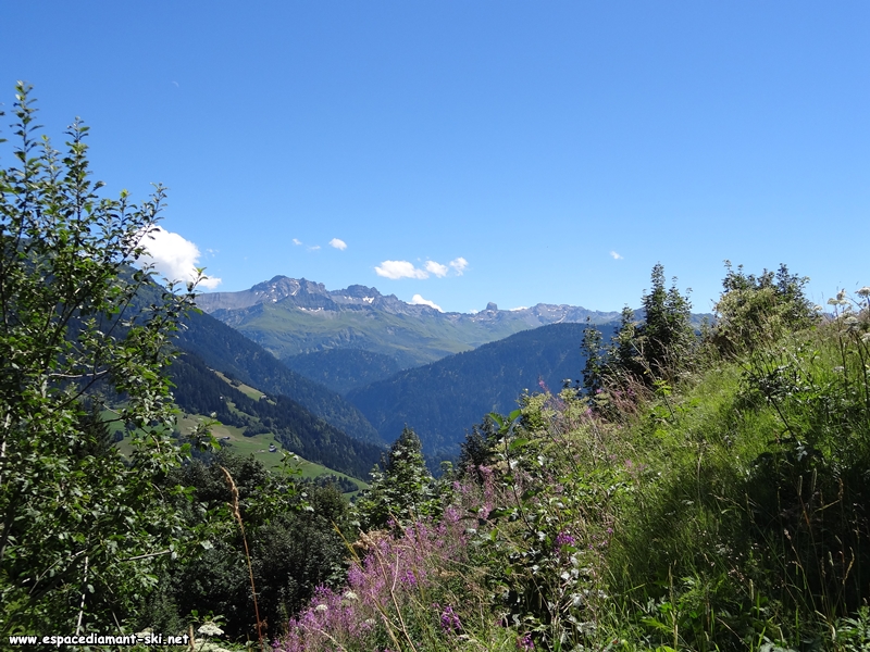L'Aiguille du Grand Fond, la Pointe de Presset et la Pierra Menta