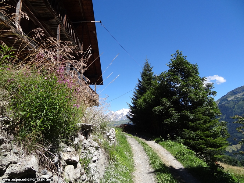 Un vieux chalet et le Mont Blanc au loin