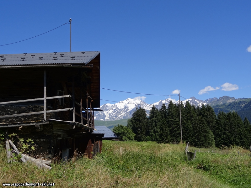 Les vieux chalets d'alpage prservs