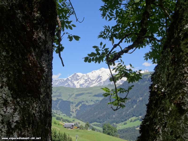 Le Mont Blanc
