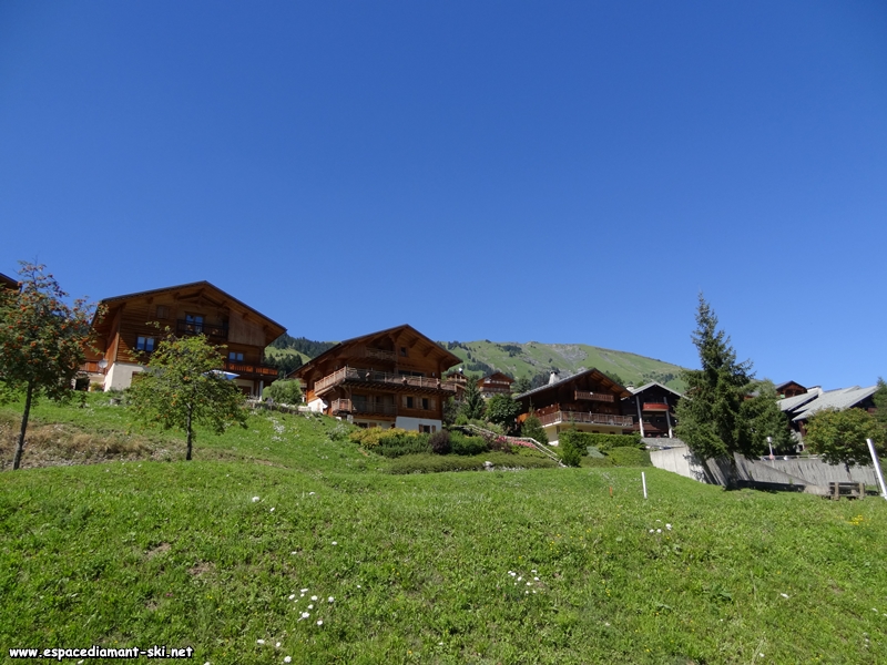 Quelques chalets rcents avec le Mont Clocher en arrire plan
