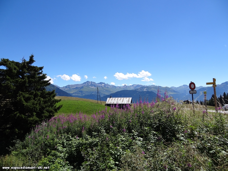 Vue sur le massif du Beaufortain aprs avoir travers la route dpartementale