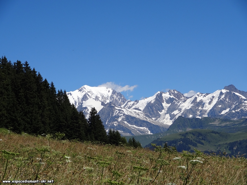On aperoit dj le Mont Blanc !