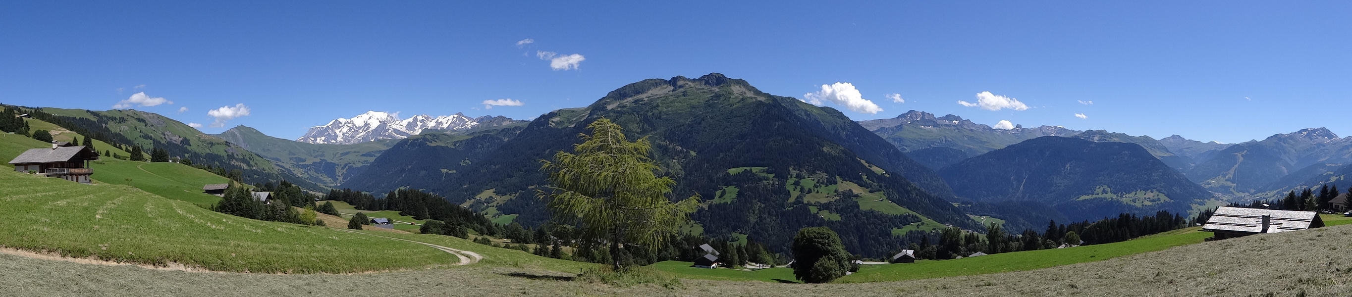 De gauche  droite : le Mont Clocher, les Aiguilles Croches, le Col du Joly, la Chane du Mont Blanc, la Montagne d'Outray, l'Aiguille du Grand Fond, la Pierra Menta, Arches et le Grand Mont