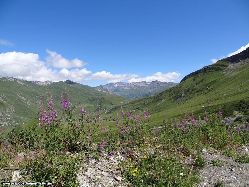 Le Cormet de Roselend et quelques pilobes