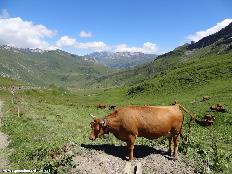 ...avec le Cormet de Roselend en arrire plan