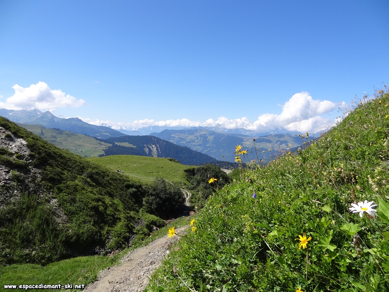 Petit sentier  flanc de montagne