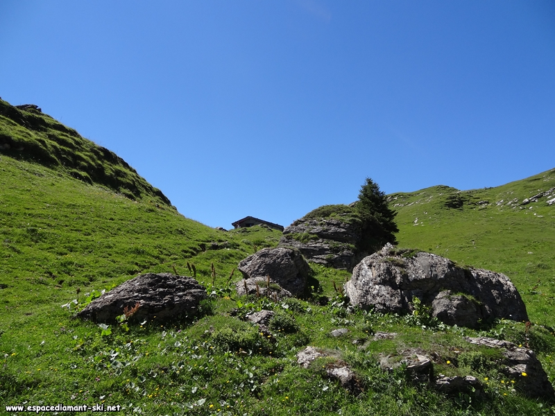 On arrive au refuge de Plan Mya