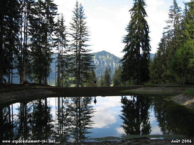 Le Lac des Evettes, nich en plein cur d'une fort d'picas