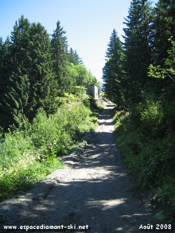 La dernire partie du sentier, assez raide, constituant le trac de l'ancienne rouge du Golet
