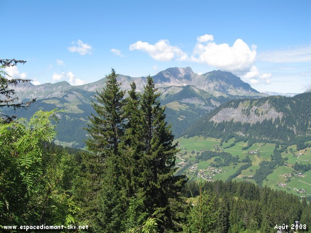 Sapins et Aravis
